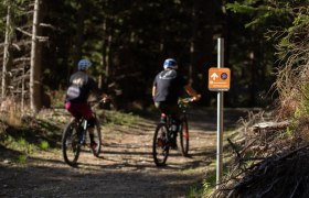 Herrgottschnitzer Route Uphill, © Wexl Trails Herrgottschnitzer Route Uphill, © Wexl Trails