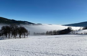 Wandern über dem Nebel, © Wiener Alpen in Niederösterreich Wandern über dem Nebel, © Wiener Alpen in Niederösterreich