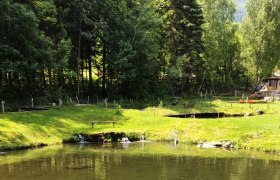 Fisch- und Angelteiche Kornfeld, © Herbert Kornfeld Ein ruhiger Fischteich mit umliegendem Wald und Wiese.