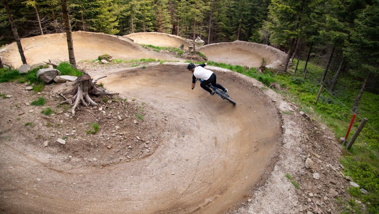 Wexl Trails, © Wexl Trails Mountainbiker auf kurvigen Waldpfad.