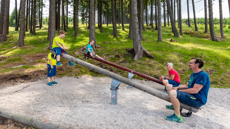 Jede Menge Abwechslung am Schaukelweg, © Erlebnisalm Mönichkirchen, Christian Kremsl Familie spielt auf Wippen im Wald.