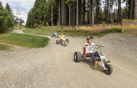 Mountaincarts auf der Erlebnisalm Mönichkirchen, © Erlebnisalm Mönichkirchen_Martin Fülöp Kinder fahren auf Mountaincarts einen Weg entlang.