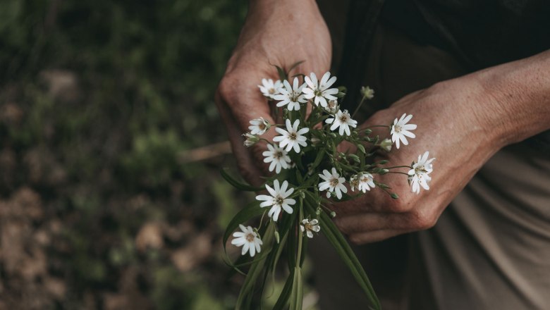 heilsame Wirkung der Natur., © Ines Steiner Nahaufnahme von Händen, die einen Strauß weißer Wildblumen halten.