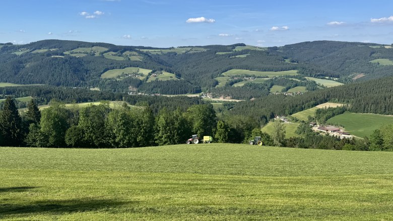 Ferienwohnung Koglhof, © Andrea Tauchner/Koglhof Landschaft mit grünen Hügeln und Wäldern unter blauem Himmel.