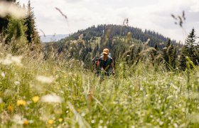 Unterwegs am Wiener Alpenbogen