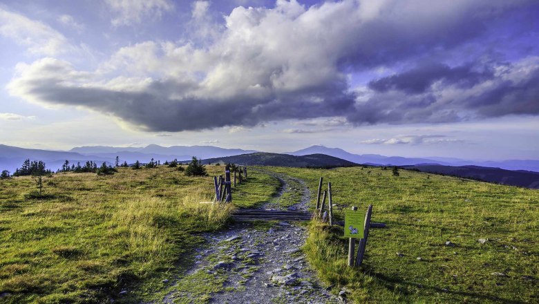 Wanderweg auf einer Bergwiese mit Blick auf den Hochwechsel und bew&ouml;lktem Himmel.