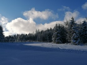 Sonnige Abschnitte im ehemaligen Schigebiet, &copy; Wiener Alpen in Nieder&ouml;sterreich - Wechsel