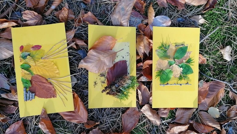Bei lustigen und spannenden &Uuml;bungen den Wald erleben, &copy; Verein Waldsport, Leopold Treitler
