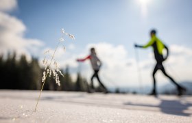 Loipeneinstieg Kummerbauerstadl, © Wiener Alpen in Niederösterreich - Wechsel