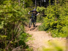 Singletrail 3, &copy; Wexl Trails