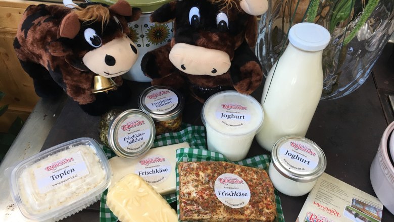 Verschiedene Milchprodukte mit zwei Pl&uuml;schk&uuml;hen auf einem Tisch.