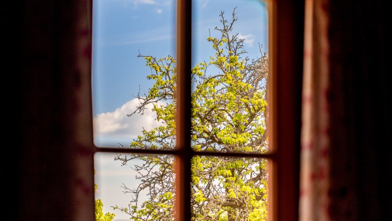 Ausblick aus Holzfenster auf gr&uuml;nen Baum unter blauem Himmel.