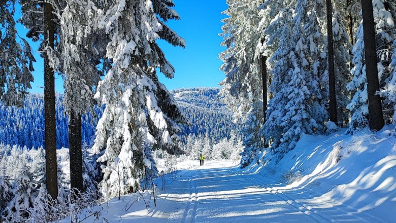 Verschneite Langlaufloipe im Wald mit blauem Himmel.