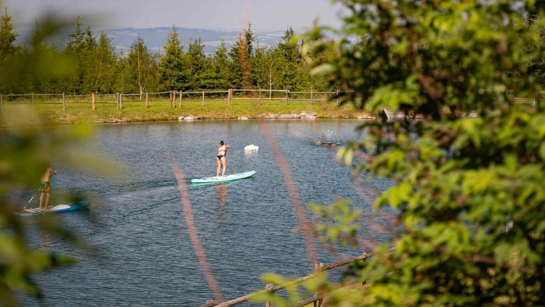 Zwei Personen beim Stand-Up-Paddling auf einem Teich, umgeben von B&auml;umen.