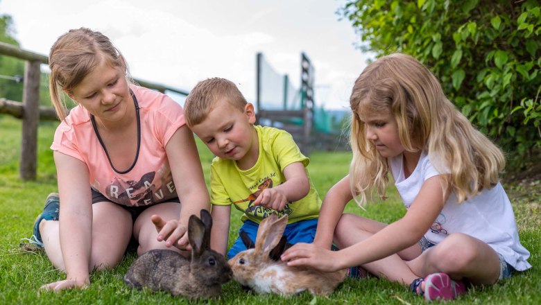 Drei Kinder sitzen auf einer Wiese und streicheln zwei Kaninchen.