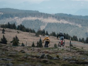 Zwei Mountainbiker fahren einen Pfad in den Bergen hinunter, umgeben von W&auml;ldern und H&uuml;geln.