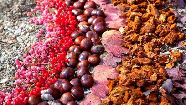 Wald sp&uuml;ren., &copy; Thomas Wielander