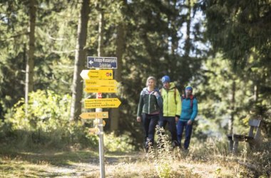 Wanderwege, © Wiener Alpen