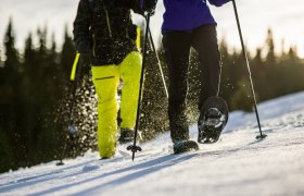 Auf Schneeschuhen durch die verschneite Landschaft, &copy; Wiener Alpen in Nieder&ouml;sterreich