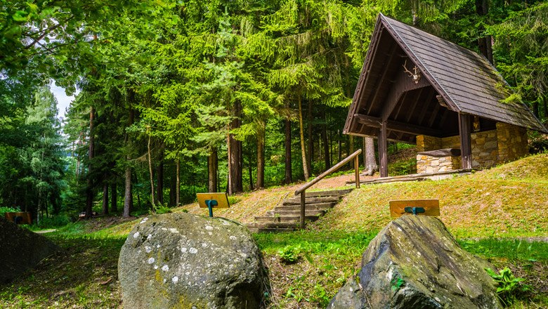Ein Waldlehrpfad mit einer hölzernen Schutzhütte und Informationstafeln in einem grünen Wald.