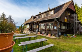 Holzhütte mit Bierbänken im Freien, umgeben von Bäumen.