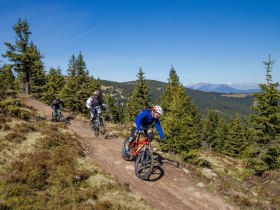 Hochwexl Trail ,,The WU" by Wexl Trails #23, &copy; Wexl Trails