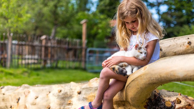 Ein M&auml;dchen sitzt auf einem Baumstamm und h&auml;lt eine Katze im Arm.