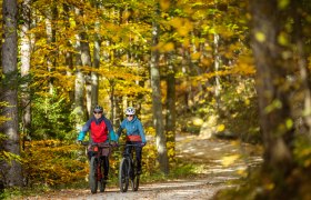 Herbstliche Biketouren mit Guide