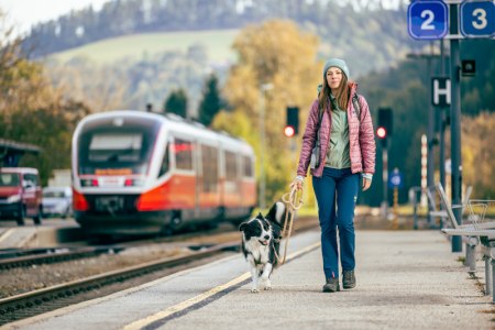 Bequem per Bahn anreisen