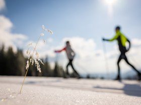 Loipeneinstieg Kummerbauerstadl, &copy; Wiener Alpen in Nieder&ouml;sterreich - Wechsel