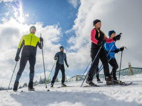 Wechsel-Panoramaloipe, &copy; L&WSV Kirchberg am Wechsel