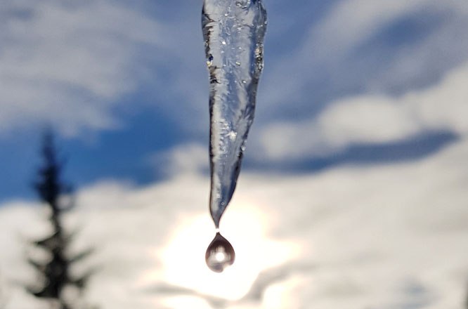 Ein Eiszapfen mit einem Wassertropfen vor einem bew&ouml;lkten Himmel und B&auml;umen im Hintergrund.