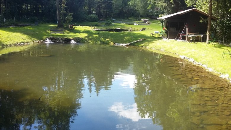 Ein kleiner Fischeich mit klarem Wasser, umgeben von grünem Gras und Bäumen. Eine Holzhütte steht am rechten Ufer.
