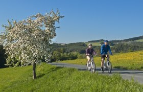 E-Biken in der Buckligen Welt, &copy; &copy; Gemeinsame Region Bucklige Welt, Fotograf: www.audivision.at