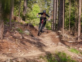 Singletrail 2, &copy; Wexl Trails