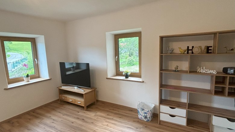 Ein Wohnzimmer mit Holzfu&szlig;boden, einem Fernseher auf einem Tisch, zwei Fenstern und einem Regal mit Dekorationen.