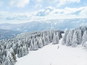 Die Loipe aus der Vogelperspektive, &copy; L&WSV Kirchberg am Wechsel