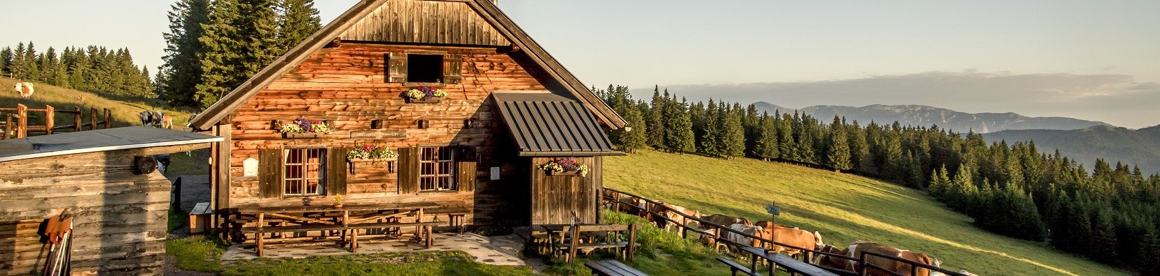 Kranichberger Schwaig, &copy; N&Ouml;W, Robert Herbst