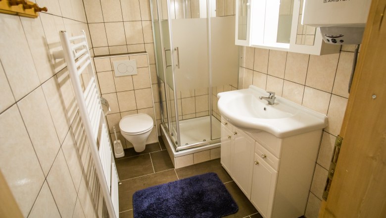 Badezimmer mit Dusche, Waschbecken, WC und Handtuchheizkörper.