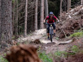 Singletrail by Wexl Trails #7, &copy; Wexl Trails