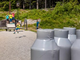 Erlebnisalm_Schaukelweg_midres_5434(c)Erlebnisalm_M&ouml;nichkirchen_Kremsl, &copy; Erlebnisalm M&ouml;nichkirchen, Christian Kremsl