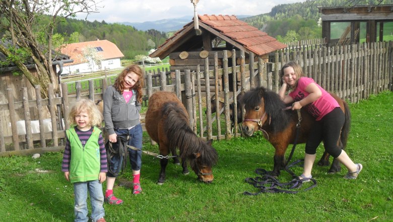 Drei Kinder mit zwei Ponys auf einer Wiese vor einem Holzzaun.