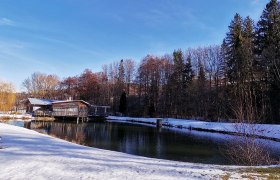 Ein Naturteich mit klarem Wasser, umgeben von schneebedecktem Boden und Bäumen im Hintergrund.