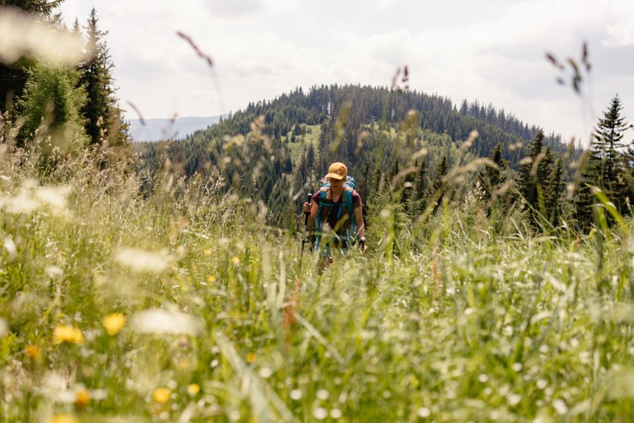 Unterwegs am Wiener Alpenbogen