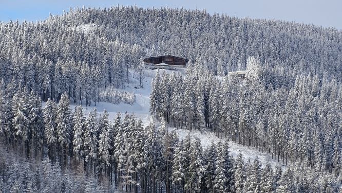 Verschneite Bergh&uuml;tte in einem dichten Wald auf einem H&uuml;gel.