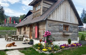Eine rustikale Holzhütte mit Blumenbeet und einem Hund auf der Terrasse, umgeben von grüner Landschaft und roten Sonnenschirmen.