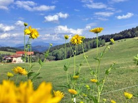 Fu&szlig;weg von Unternberg nach Sachsenbrunn, &copy; Wiener Alpen in Nieder&ouml;sterreich - Wechsel