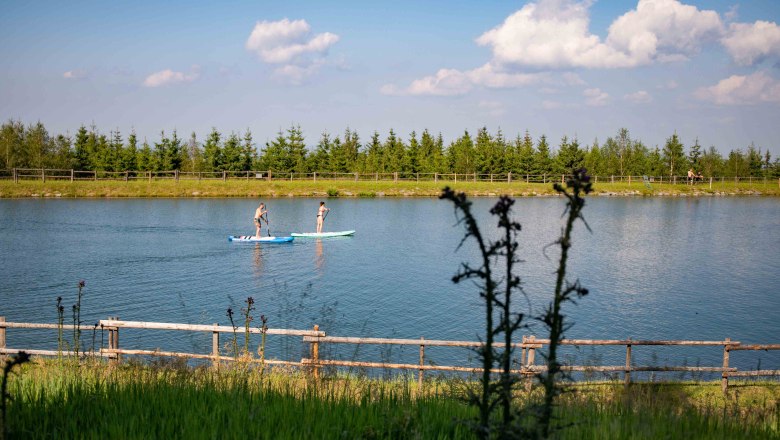 Zwei Personen beim Stand-Up-Paddling auf einem Teich, umgeben von B&auml;umen und einem Holzzaun.