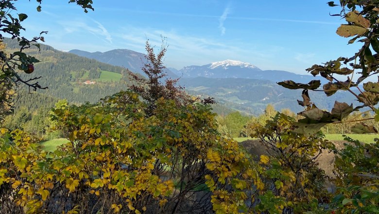 Blick auf den Schneeberg in der Ferne, umgeben von herbstlichen B&auml;umen und Str&auml;uchern im Vordergrund.