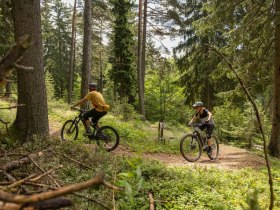 M&ouml;nichkirchner Schwaig Route by Wexl Trails #17, &copy; Wexl Trails